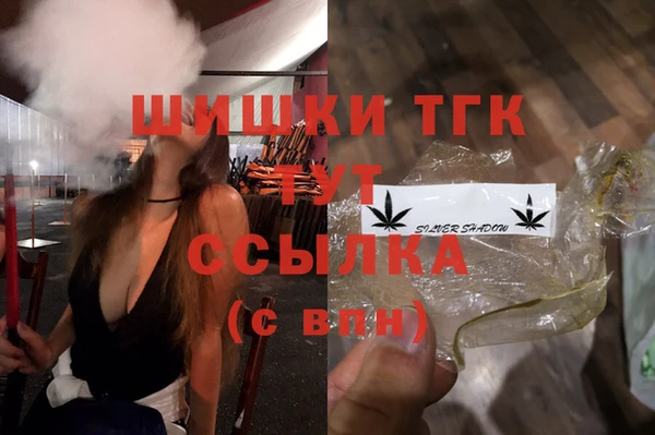 шишки Новодвинск