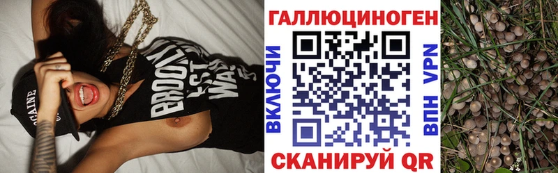Псилоцибиновые грибы мицелий  гидра tor  Фролово  дарнет шоп 