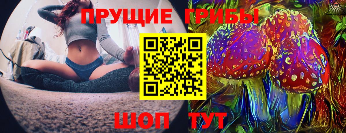 Фролово  Псилоцибиновые грибы Cubensis  Вход с VPN  Псилоцибиновые грибы Magic Shrooms 