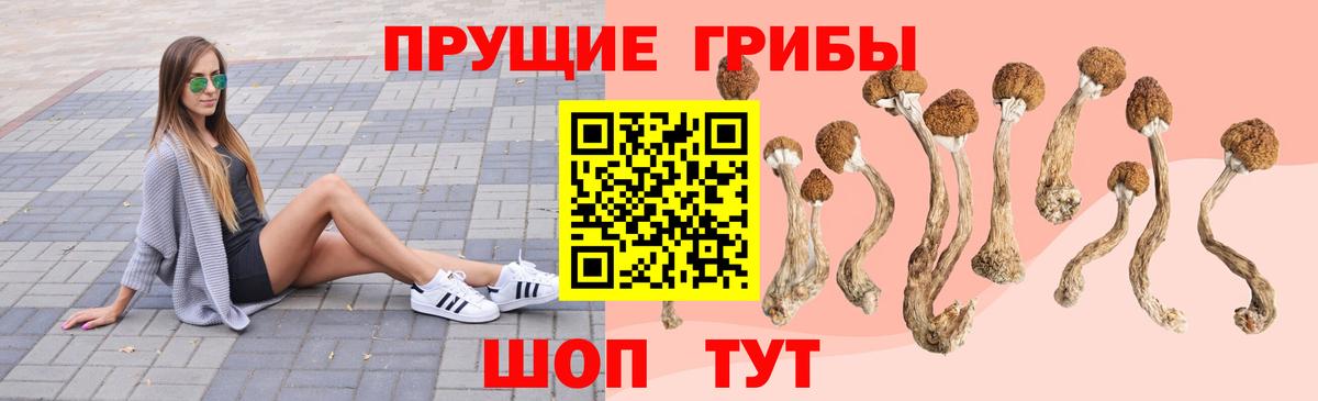 Гашиш Фролово